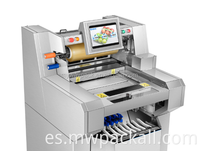 Máquina de envasado de mapa de la película de sellado de la bandeja/ máquina de envoltura de fondos de alimentos de plástico de plástico automático